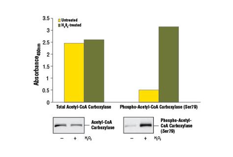 PathScan® Total Acetyl